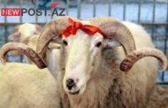 Qurban bayramında 4 gün iş olmayacaq