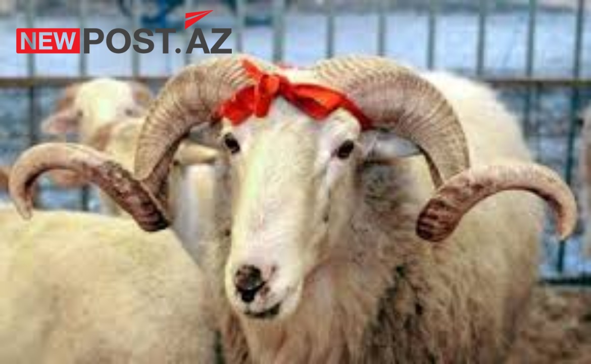Qurban bayramında 4 gün iş olmayacaq