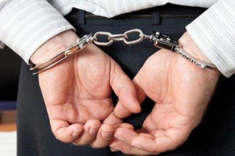 Biləsuvarda şahin quşlarını ovlamaq istəyən şəxs cəzalandırıldı