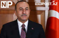 Mövlud Çavuşoğlu: “Qərənfillər bu gün Xarı bülbüllə birlikdə açır” - FOTO