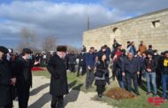 Siyəzəndə şəhid anası dəfndən əvvəl qurban kəsib - FOTO - VİDEO - YENİLƏNİB