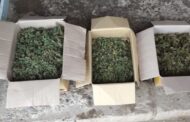 Sabirabad sakinindən qurudulmuş marixuana götürülüb - FOTO