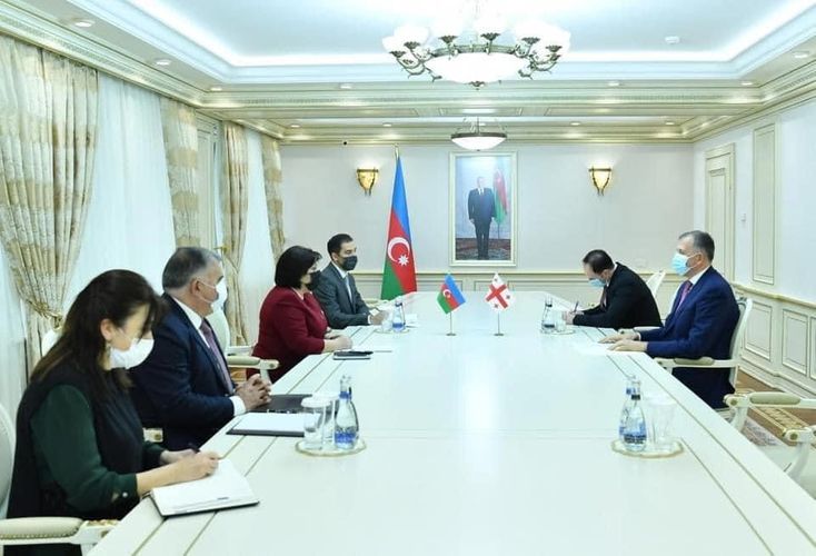 Sahibə Qafarova Gürcüstanın Azərbaycandakı səfiri ilə görüşüb