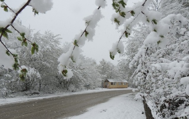 Nabran, Quba, Xaçmaz, Qusar, Xaltanda qar yağır