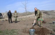 Prezident İlham Əliyev: “Bəsitçay təbiət qoruğunun bərpasına start verildi”