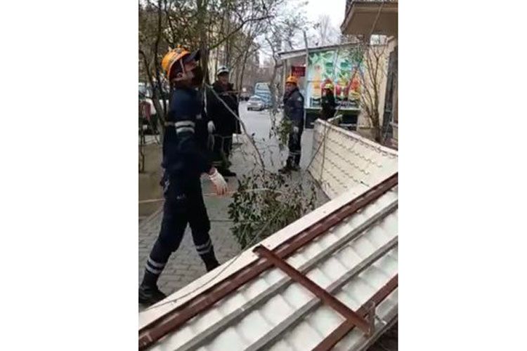 FHİN-nin qəza-xilasetmə qüvvələri güclü küləyin fəsadlarının aradan qaldırır - FOTO - VİDEO
