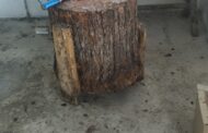 At əti satılan məntəqə aşkarlandı - Foto