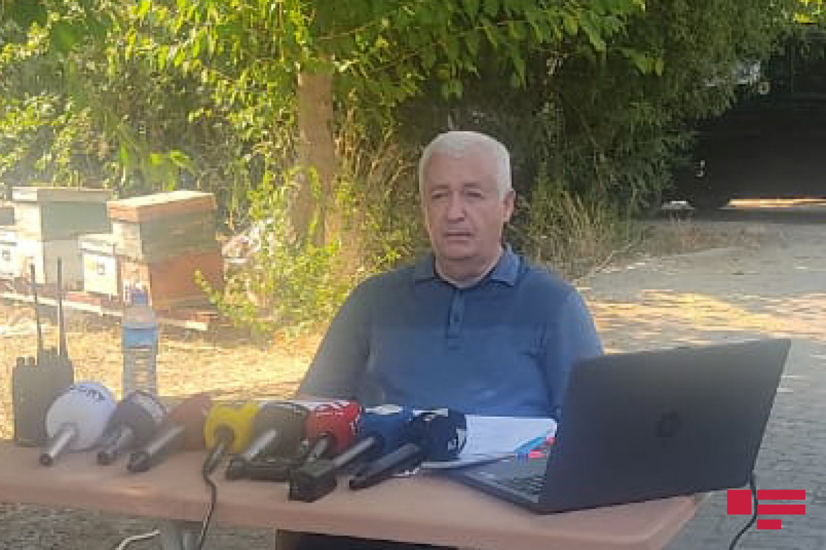 Nazir müavini: 