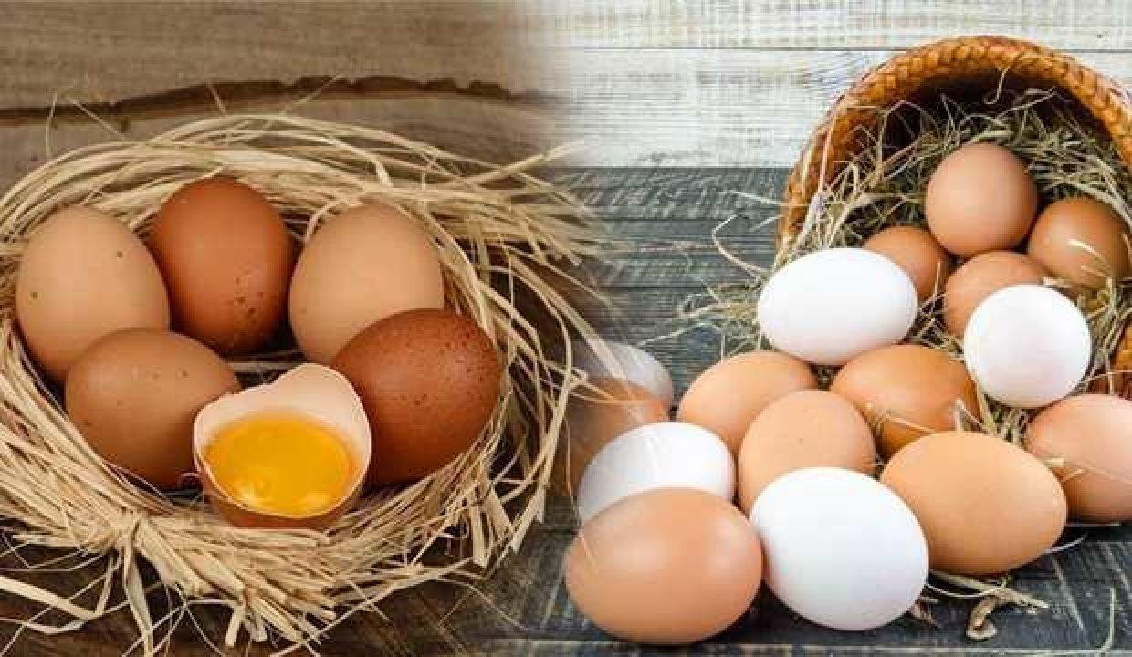 Rusiyadan bu məhsulların gətirilməsinə məhdudiyyət qoyuldu