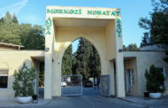 Mərkəzi Nəbatat Bağında yanğın olub