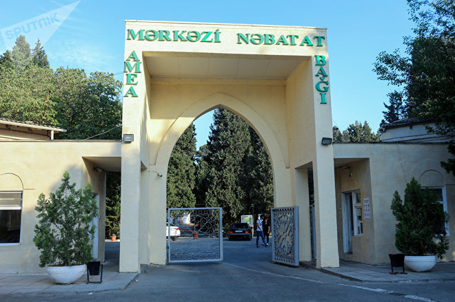 Mərkəzi Nəbatat Bağında yanğın olub