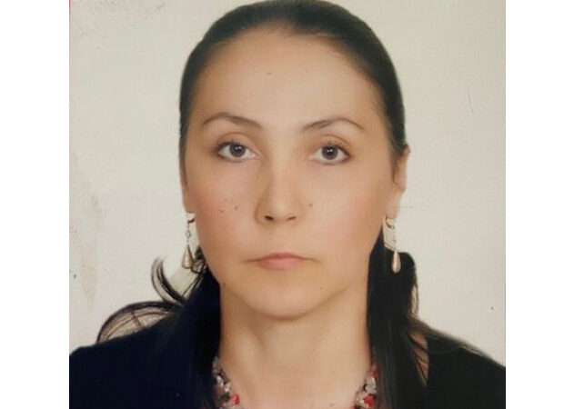 Azərbaycanda elektroenergetika sahəsində inkişaf nümunəsi