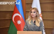 Pərvin Məmmədova Qarabağ Dirçəliş Fondundan ayrıldı